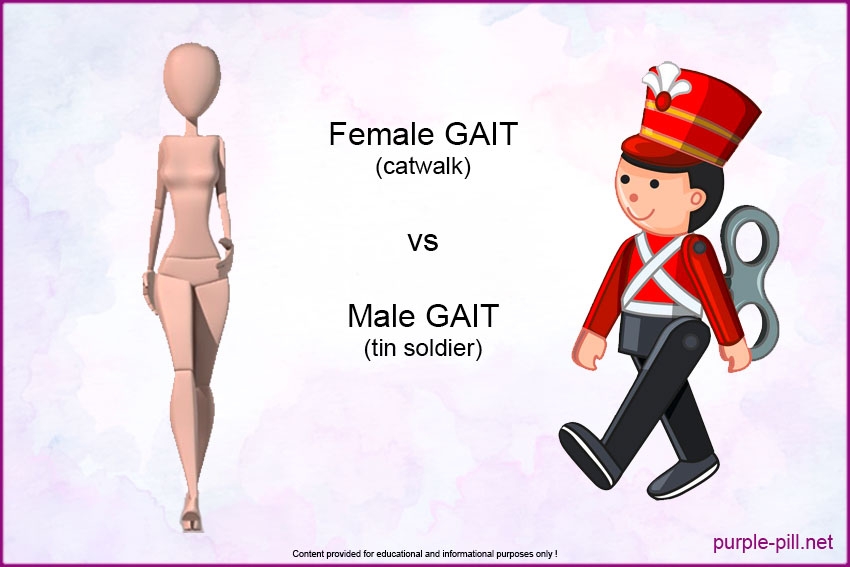 Female & Male Gait