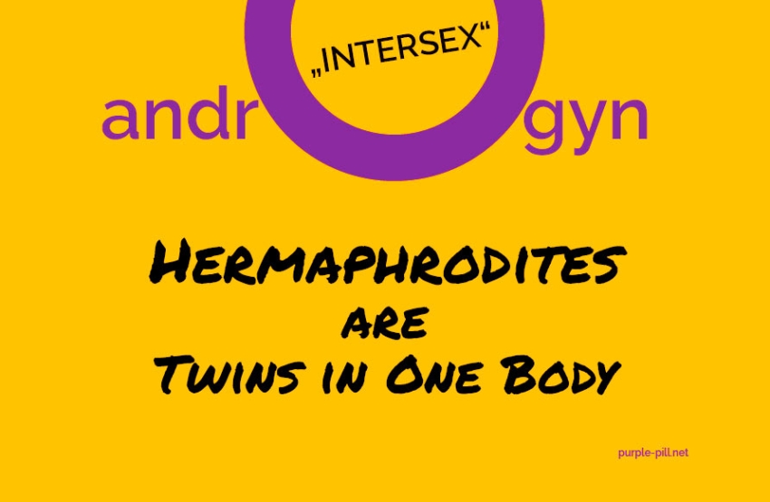 Hermaphrodites are Twins in One Body