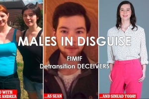 Males in Disguise - detransition deceivers